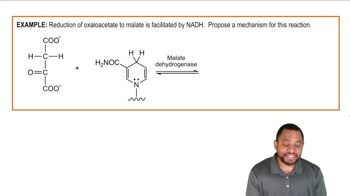 Coenzymes in Metabolism Example 3
