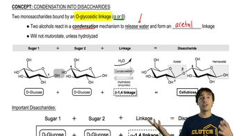 Disaccharide