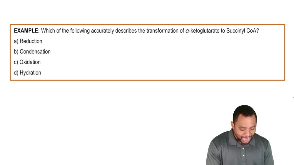 Succinyl CoA Formation Example 2
