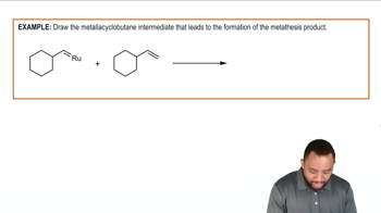 Alkene Metathesis Example 4