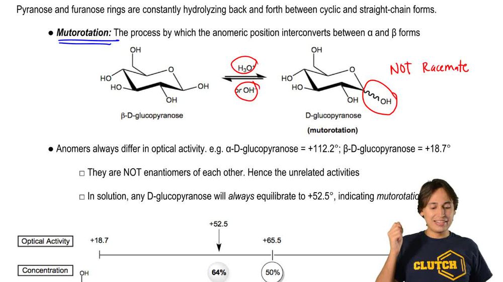 Mutorotation and Optical Activity
