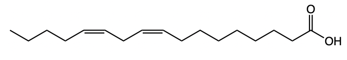 fatty acid