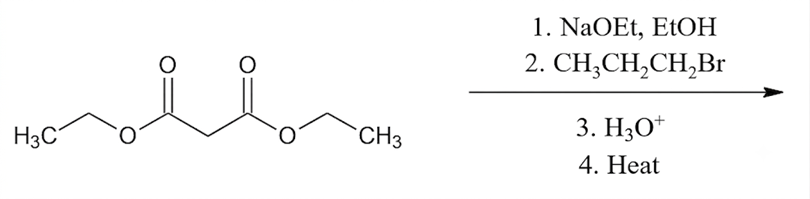 Chemical reaction scheme showing malonic ester reacting with sodium ethoxide, 1-bromopropane, acid, and heat to form a substituted product.