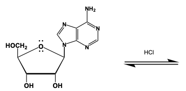 hydrolysis of adenosine