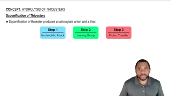 Hydrolysis of Thioesters Concept 2