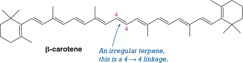 Structure of β-carotene highlighting a 4→4 linkage between isoprene units, labeled with pink numbers and an explanatory note.