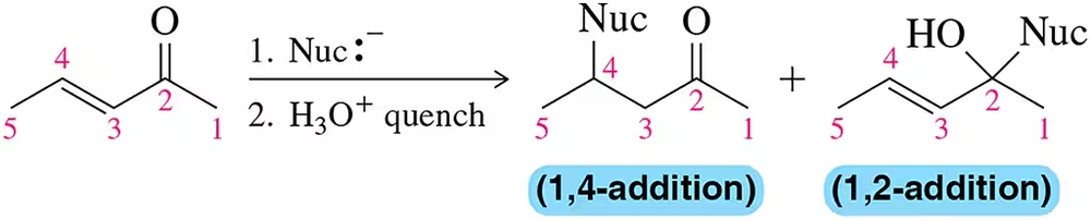 Nucleophilic addition to α,β-unsaturated ketone at C2 or C4, showing 1,4-addition and 1,2-addition products.