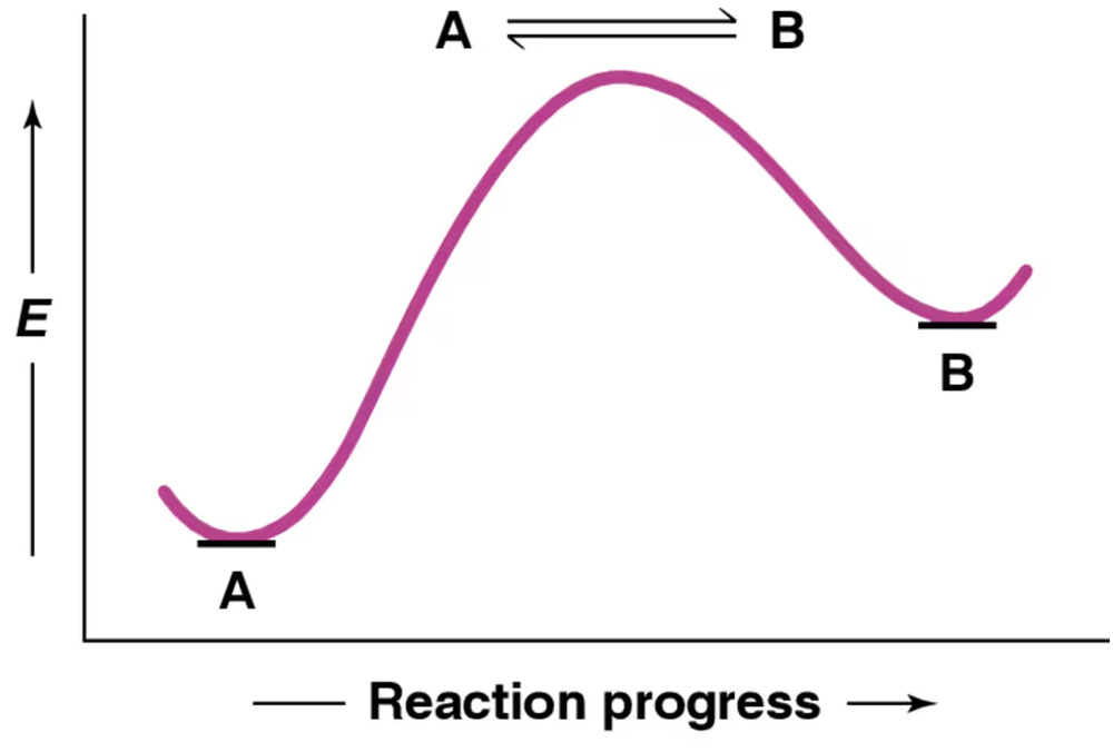 Energy diagram showing the reaction progress from A to B, indicating the relative speeds of forward and reverse reactions.