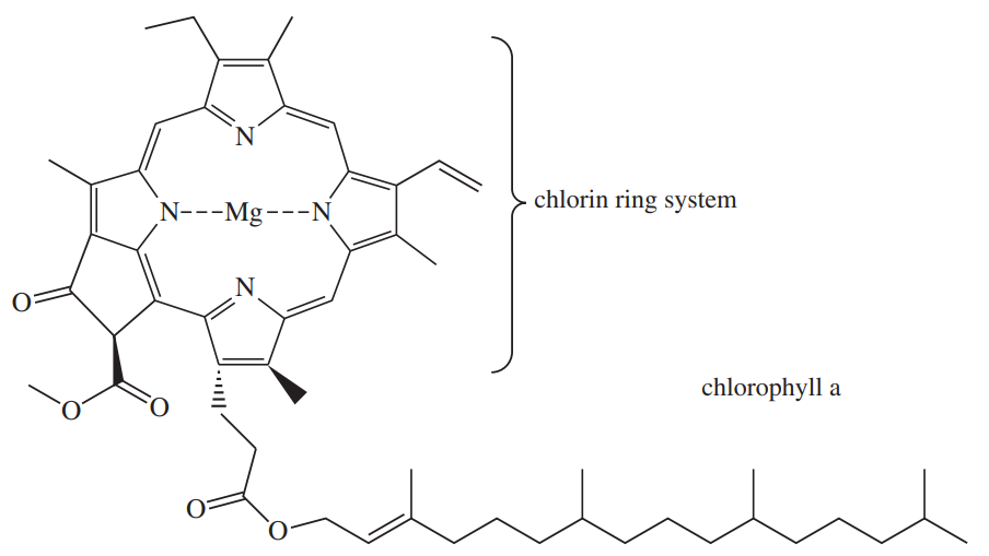 Diagram of chlorophyll a, highlighting the chlorin ring system and indicating double bonds in the aromatic pi electron system.