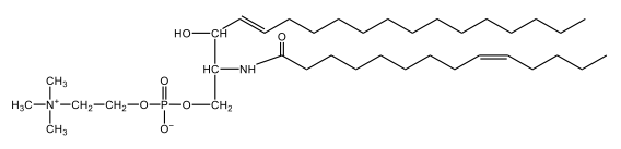 sphingomyelin