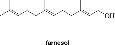 Chemical structure of farnesol, highlighting isoprene units and hydroxyl group.