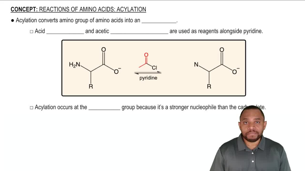 Reactions of Amino Acids: Acylation Concept 1
