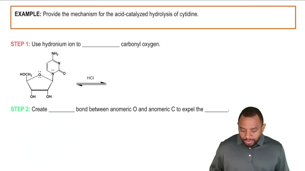 Hydrolysis of Nucleosides Example 1