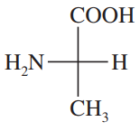 Fischer projection of an asymmetric carbon with labels for amino, carboxyl, and methyl groups.