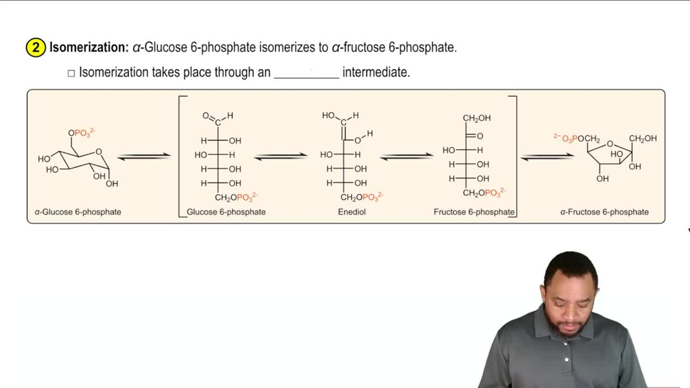 Glycolysis Reaction 2