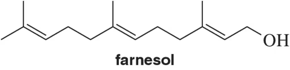 Chemical structure of farnesol with a hydroxyl group, labeled "farnesol" at the bottom.