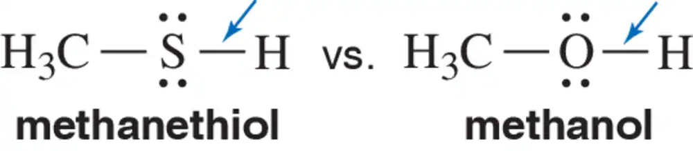 Comparison of methanethiol and methanol structures highlighting S―H and O―H bonds.