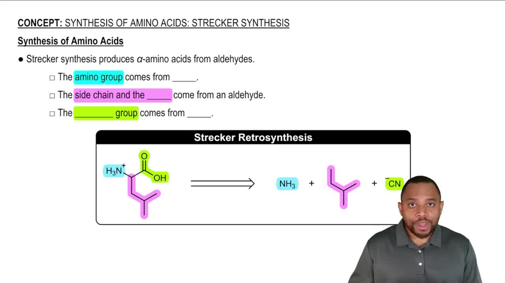 Synthesis of Amino Acids: Strecker Synthesis Concept 3