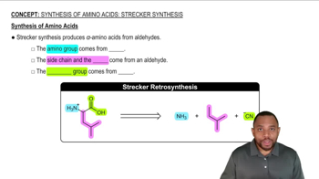 Synthesis of Amino Acids: Strecker Synthesis Concept 3