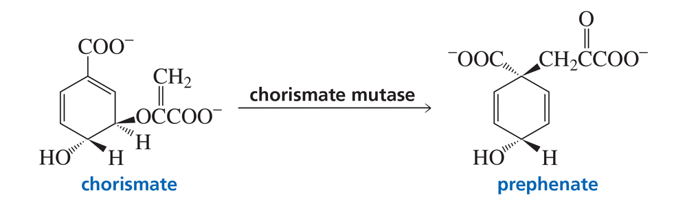 Chemical structures of chorismate and prephenate with the label "chorismate mutase" indicating the enzyme's role in the reaction.