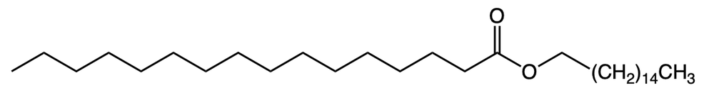 spermaceti wax structure