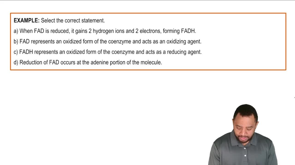 Flavin Adenine Dinucleotide Example 4