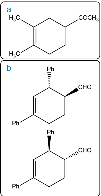 Structures of major products from the Diels-Alder reaction.
