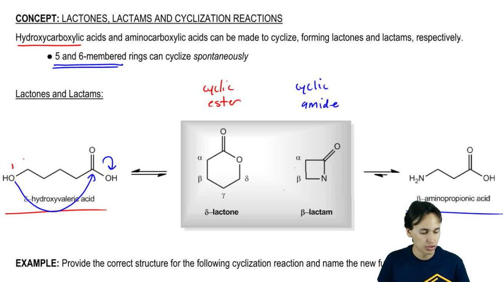 Lactones and Lactams