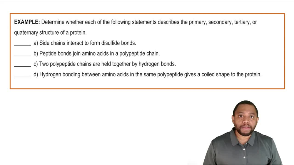 Summary of Protein Structure Example 1