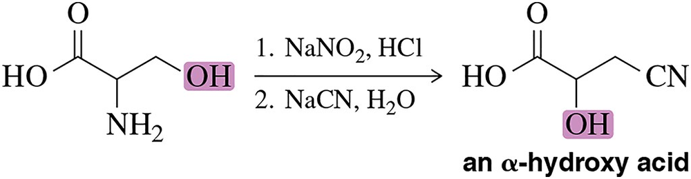 Chemical reaction diagram illustrating the synthesis of α-hydroxy acids from amino acids, with highlighted reactants and products.