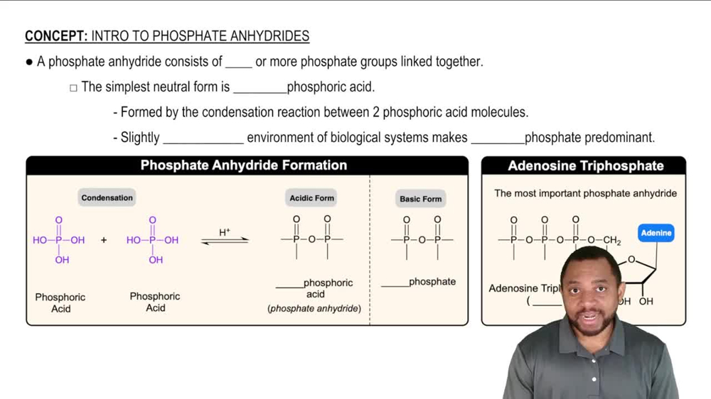 Intro to Phosphate Anhydrides Concept 1