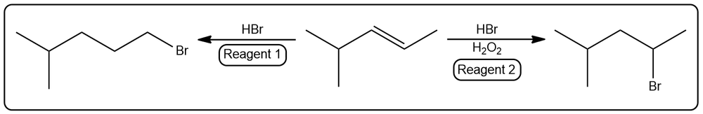 Illustration of haloalkane formation using HBr and H2O2 with reagents and alkene.