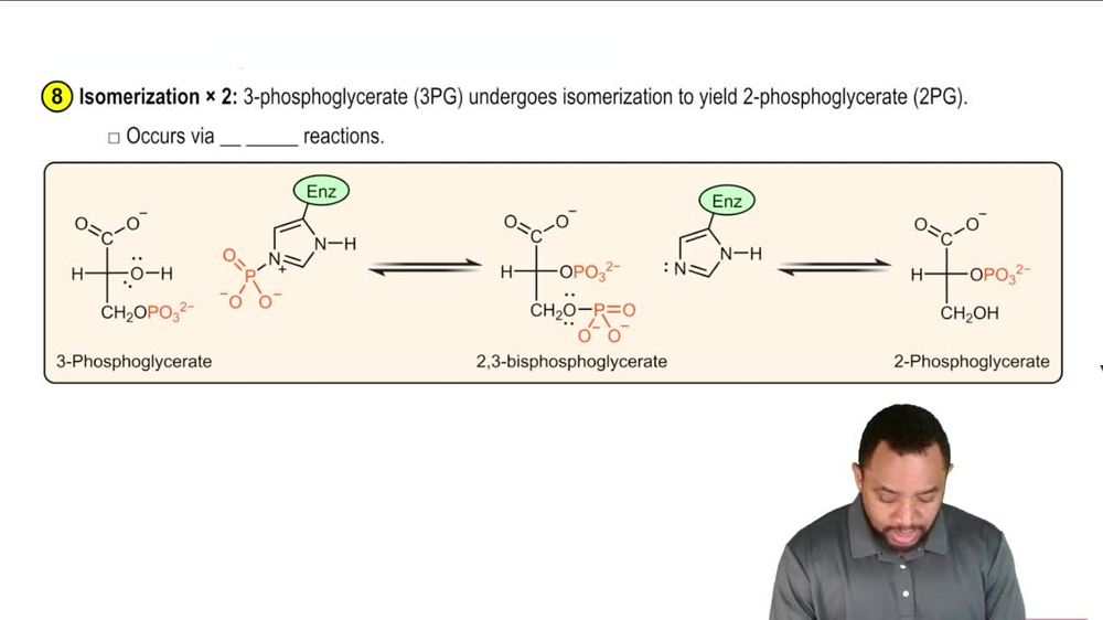 Glycolysis Reaction 8