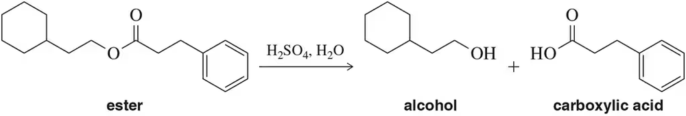 Flow chart illustrating the acid-catalyzed hydrolysis of an ester into alcohol and carboxylic acid.