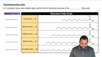 Fatty Acids Concept 4