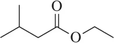 Chemical structure of ethyl acetate, showing a carbon chain with a double-bonded oxygen and an ethoxy group.
