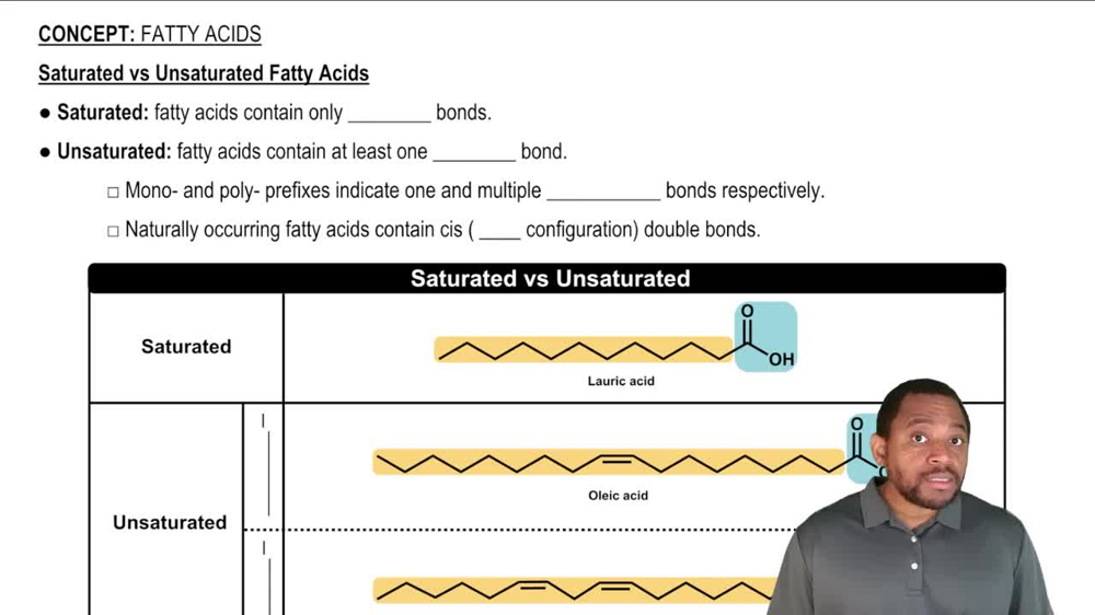 Fatty Acids Concept 2