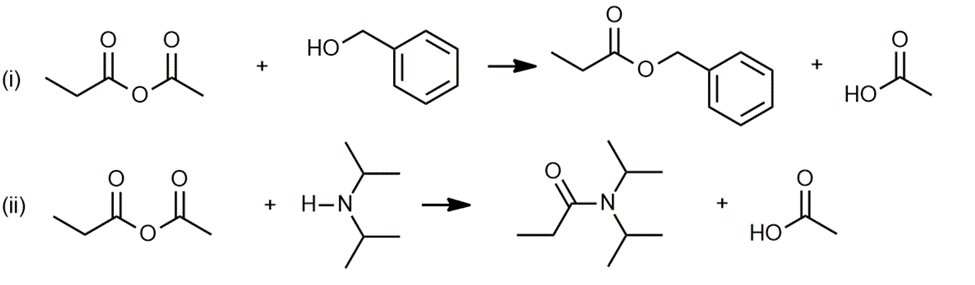<IMAGE>