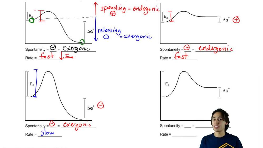 Favorability and rate of Free Energy Diagrams