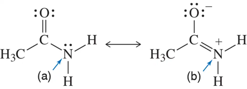 Resonance structures of acetamide showing nitrogen hybridization with arrows indicating nitrogen atoms.