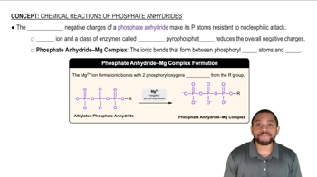 Chemical Reactions of Phosphate Anhydrides Concept 1