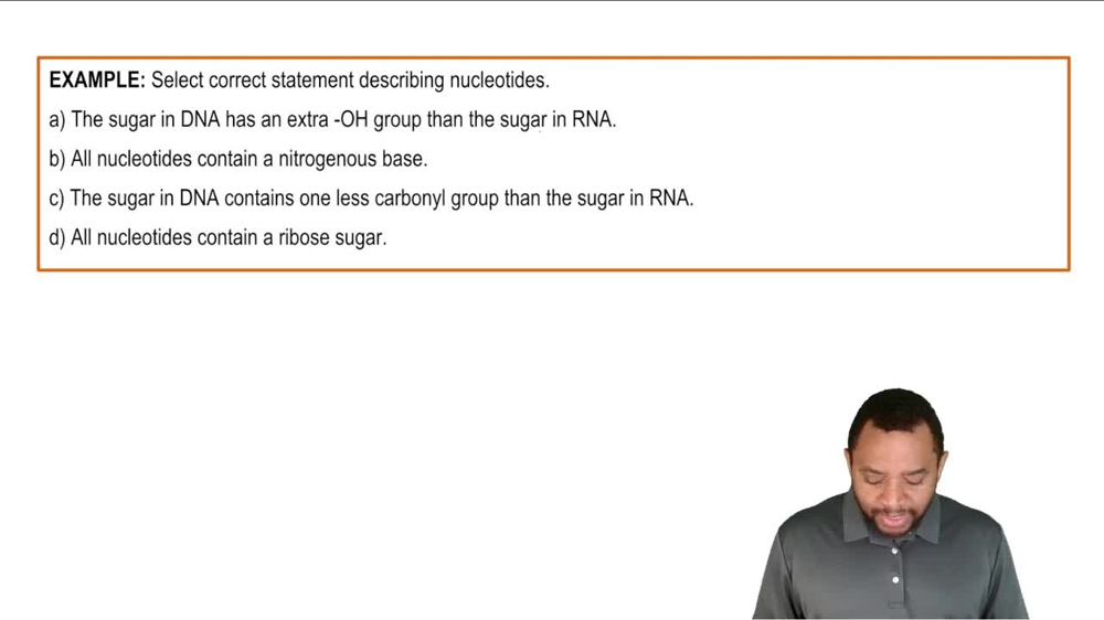 Intro to Nucleic Acids Example 1