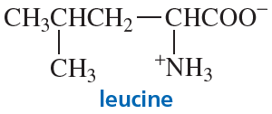 Structural formula of leucine showing its stereoisomers with labeled enantiomers and diastereomers.