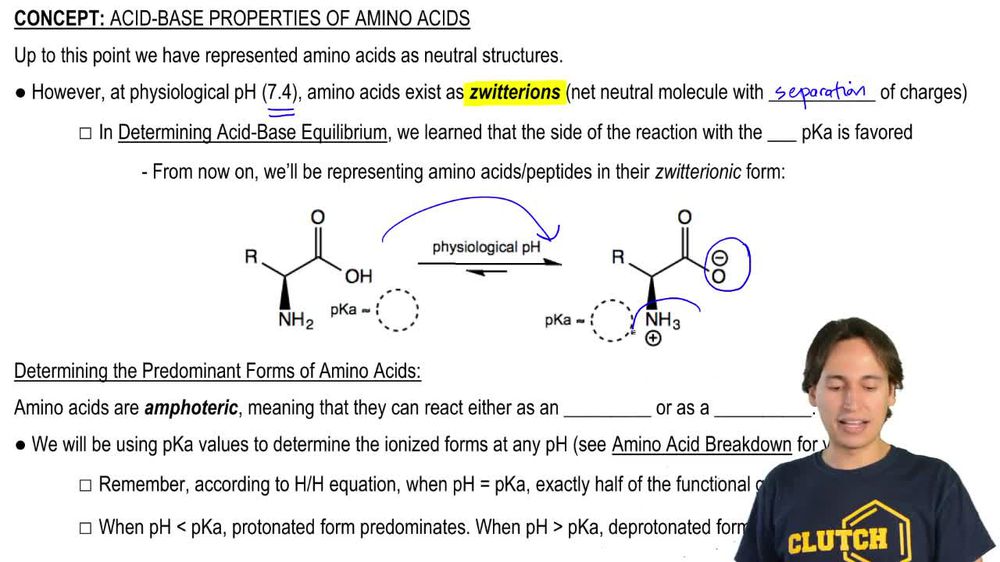 Why Amino Acids Exist as Zwitterions