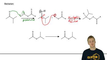 Mechanism: