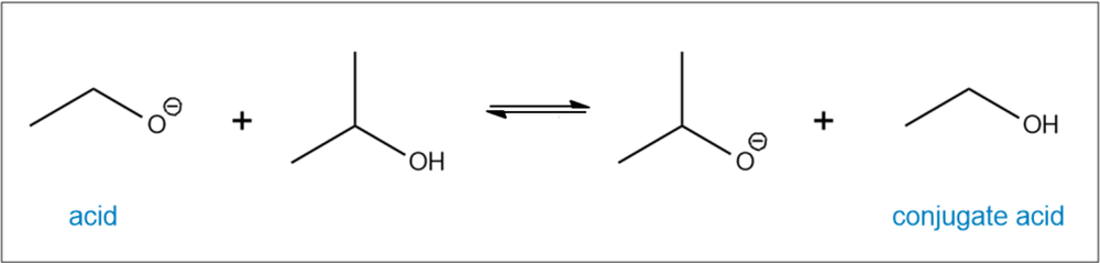 <IMAGE>