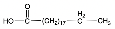 fatty acid