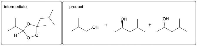 Intermediate structure and major products of ozonolysis with stereochemistry considerations.