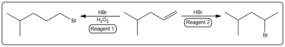 Diagram showing haloalkane synthesis with HBr and H2O2, including reagents and alkene.