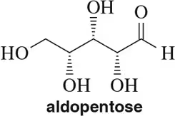 Structural representation of an aldopentose sugar with hydroxyl groups and a carbonyl group.